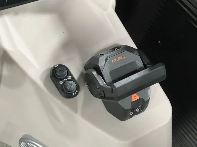 Slide: The Image of Control panel of 2023 Princecraft Brio Electric 170 boat with Torqeedo throttle. - 13