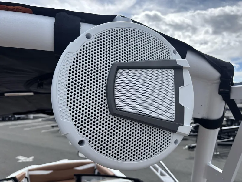 Slide: The Image of Axis A245 2025 - 16