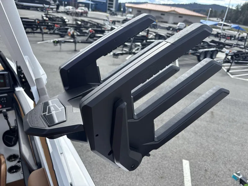 Slide: The Image of Axis A245 2025 - 17