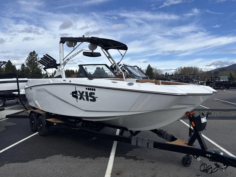 Slide: The Image of Axis A245 2025 - 3