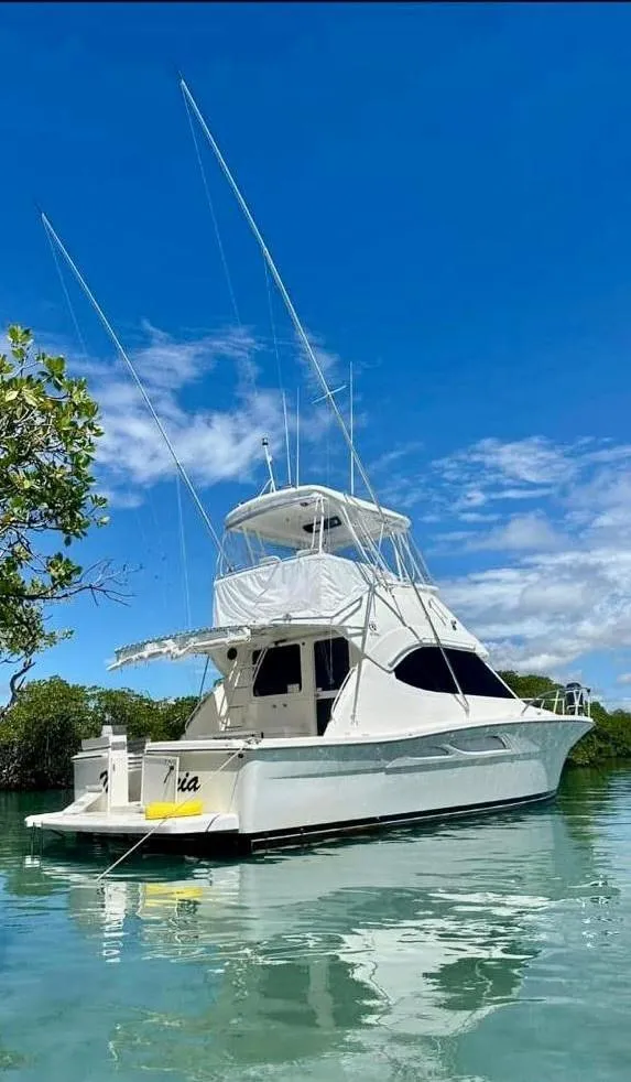 The Image of 2002 Riviera Convertible 37 yacht on calm water under clear blue sky. - 1
