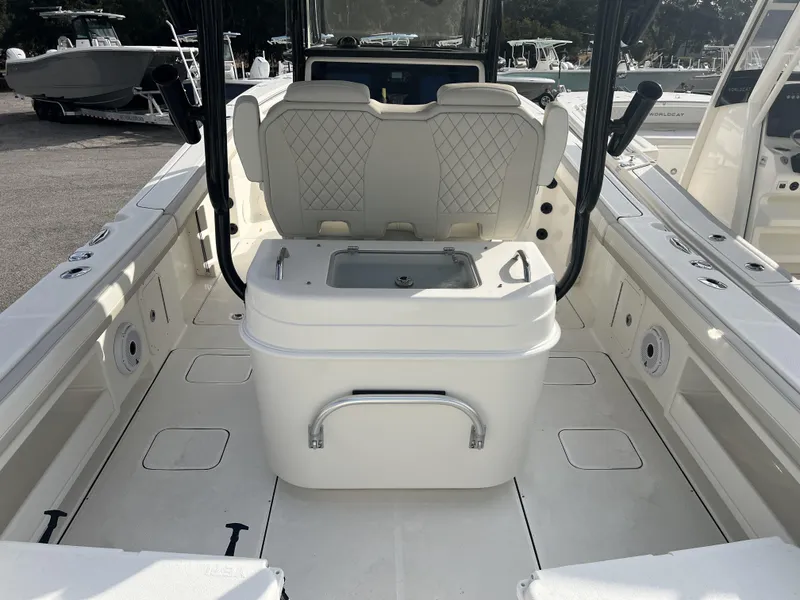 Slide: The Image of World Cat 295 CC 2025 - 10