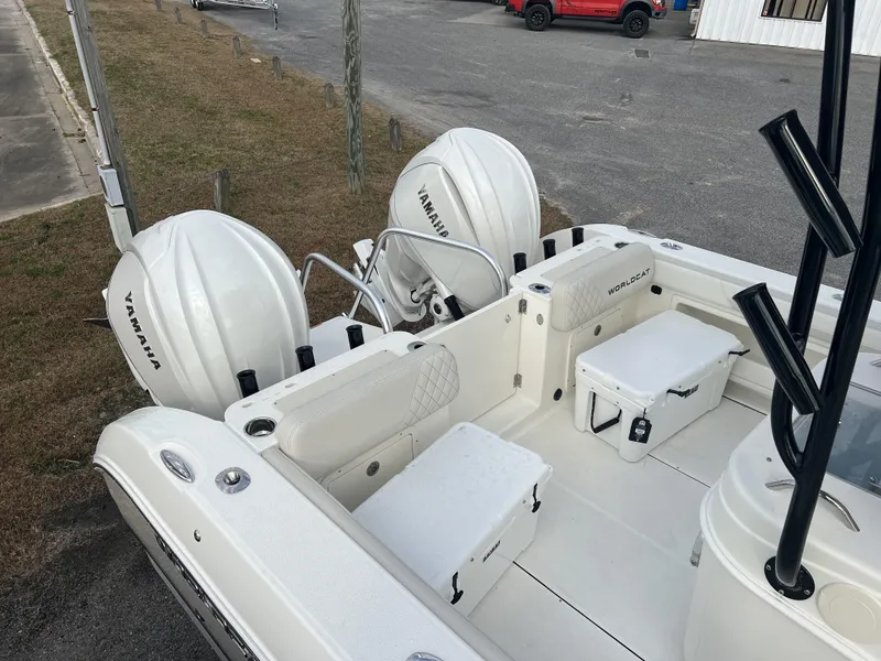 Slide: The Image of World Cat 295 CC 2025 - 11