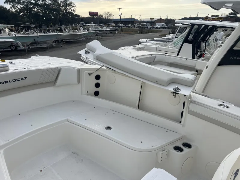 Slide: The Image of World Cat 295 CC 2025 - 12