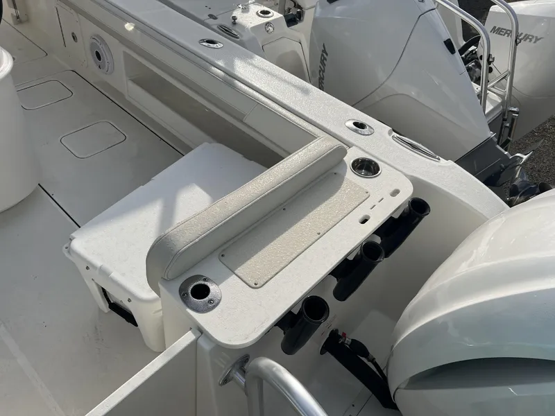 Slide: The Image of World Cat 295 CC 2025 - 17