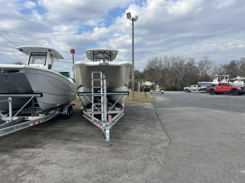 Slide: The Image of World Cat 295 CC 2025 - 3