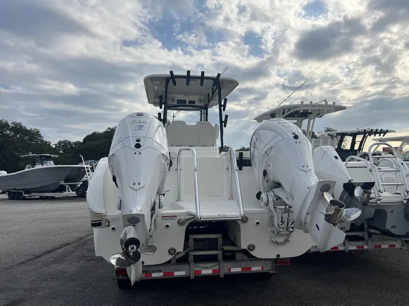 Slide: The Image of World Cat 295 CC 2025 - 4