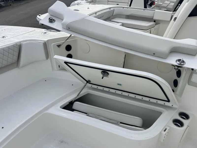 Slide: The Image of World Cat 295 CC 2025 - 6