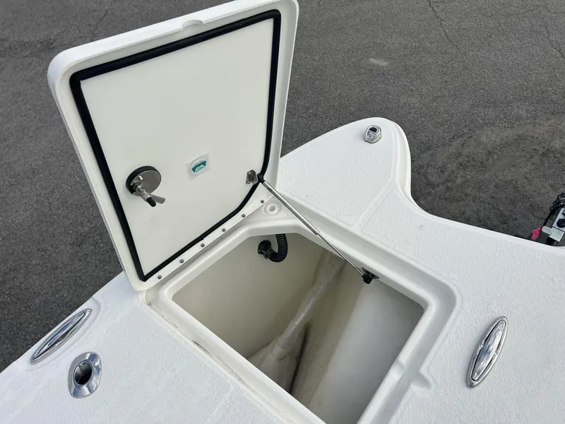 Slide: The Image of World Cat 295 CC 2025 - 8