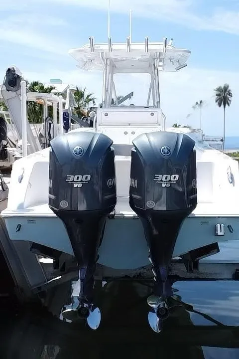 Slide: The Image of Invincible 33 Open Fisherman 2019 - 7