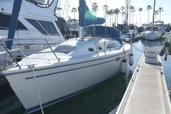 The Image of Catalina 320 sailboat docked at marina, 2000 model, sunny day, palm trees in background. - 0