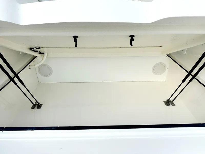 Slide: The Image of Storage compartment of 2017 Albemarle 27 Express boat, featuring hydraulic supports. - 12