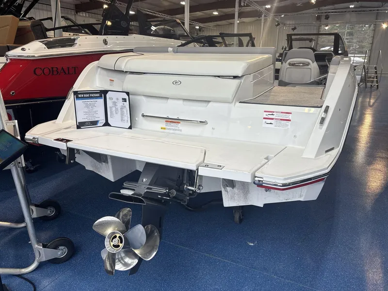 Slide: The Image of Cobalt CS22 2025 - 4