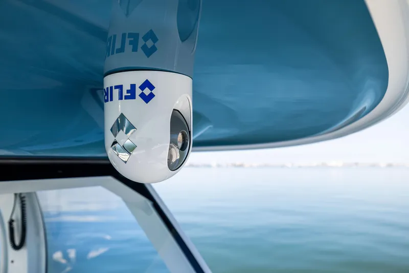 Slide: The Image of Freeman 43 2022 - 53