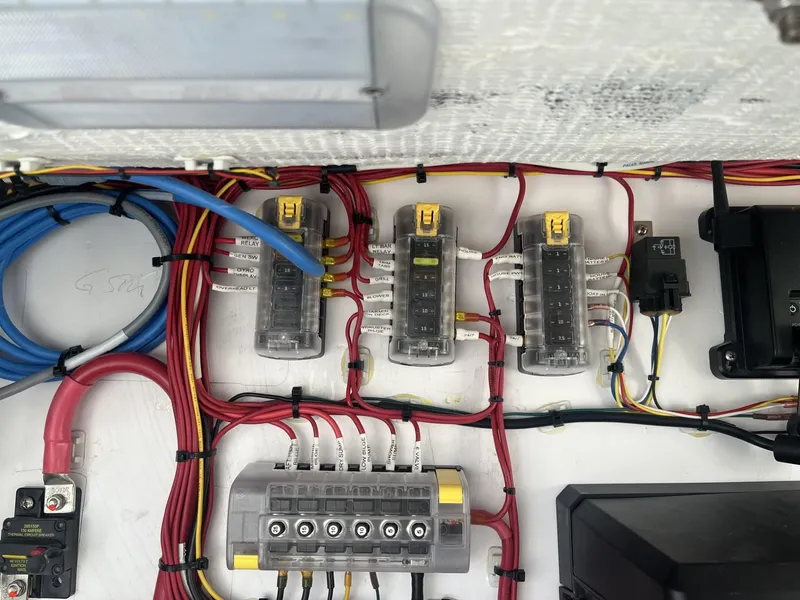 Slide: The Image of Bertram 39 CC 2022 - 97