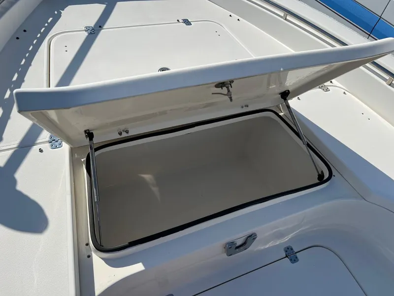 Slide: The Image of Shearwater 260 Carolina Flare 2020 - 16