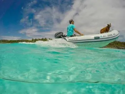 Slide: The Image of Man and dog on 2023 Highfield Classic 290 boat in turquoise water. - 1
