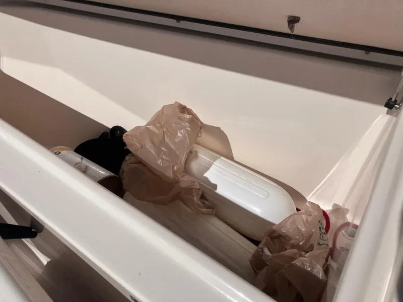 Slide: The Image of Grady-White Canyon 336 2020 - 58