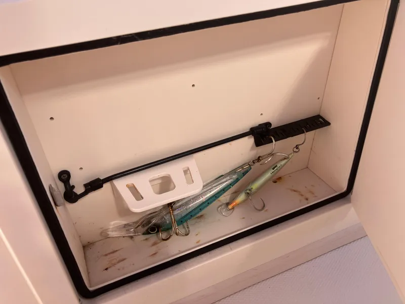 Slide: The Image of Grady-White Canyon 336 2020 - 61