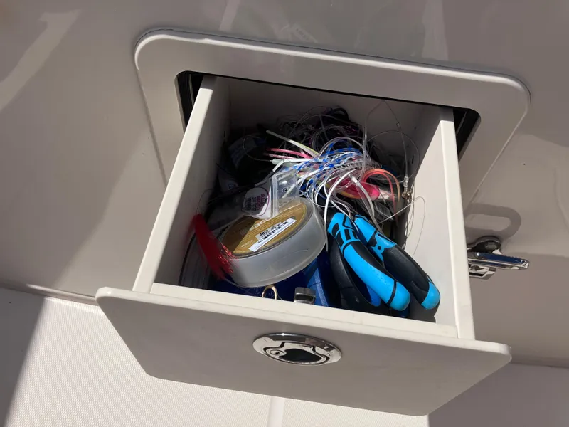 Slide: The Image of Grady-White Canyon 336 2020 - 65