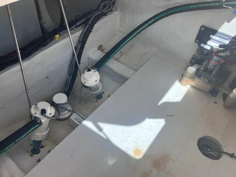 Slide: The Image of Grady-White Canyon 336 2018 - 66