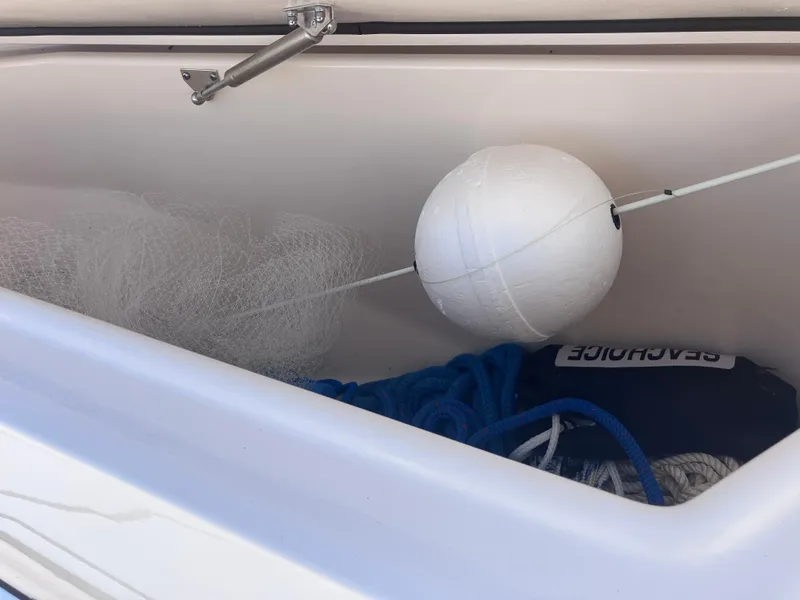 Slide: The Image of Grady-White Canyon 336 2018 - 82