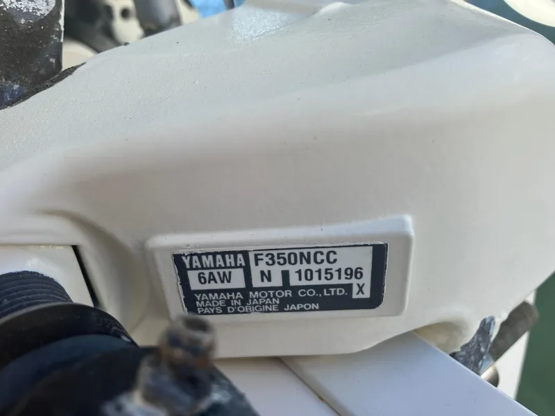 Slide: The Image of Grady-White Canyon 336 2018 - 91