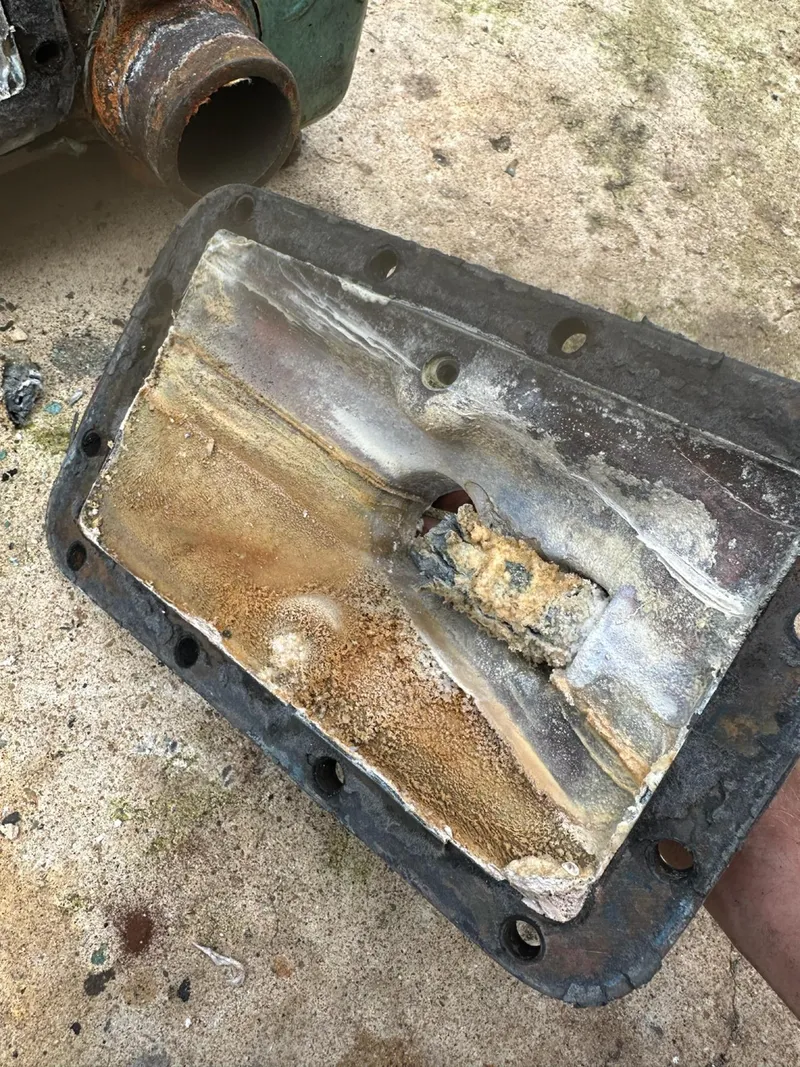 Slide: The Image of Bertram 46.6 1982 - 51