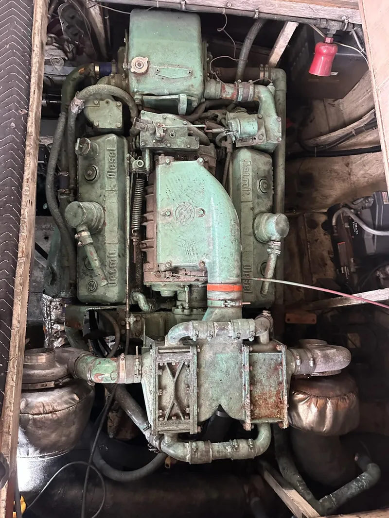 Slide: The Image of Bertram 46.6 1982 - 55