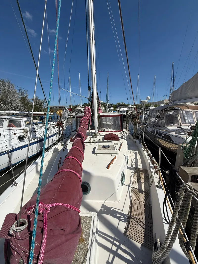 Slide: The Image of CSY 44 Walk Over 1979 - 14