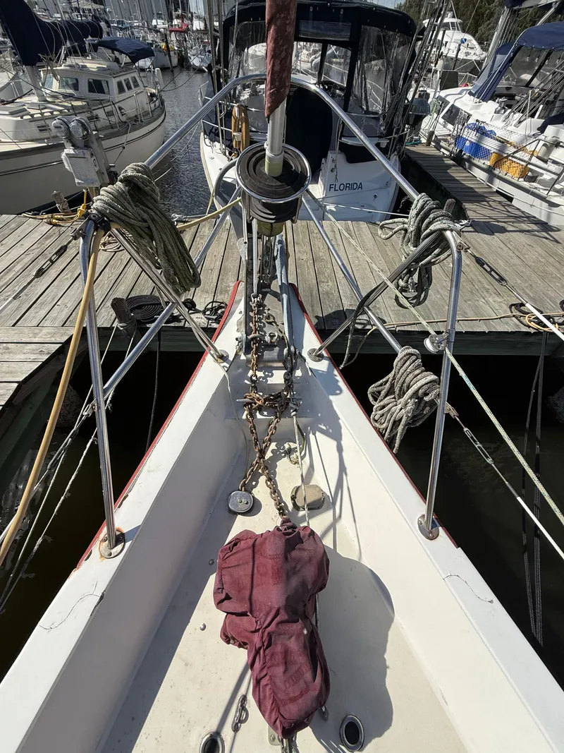 Slide: The Image of CSY 44 Walk Over 1979 - 16