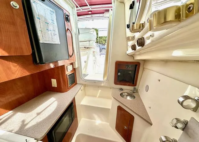 Slide: The Image of 2009 World Cat 290 EC interior with kitchenette, sink, and storage. - 14