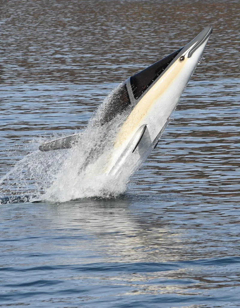 Slide: The Image of Seabreacher X, Y, Z 2025 model performing a dynamic water maneuver. - 5
