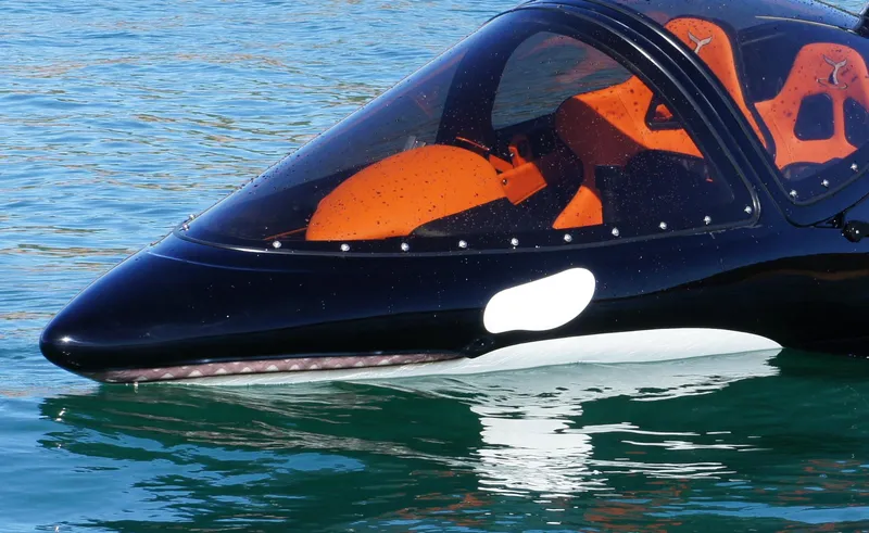 Slide: The Image of 2025 Seabreacher X, Y, Z model resembling an orca, floating on water. - 7