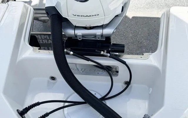 Slide: The Image of Sailfish 232 CC 2025 - 15