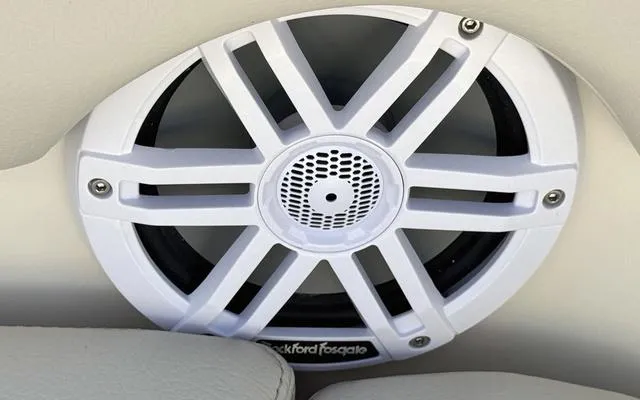 Slide: The Image of Sailfish 232 CC 2025 - 31