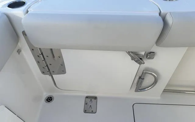 Slide: The Image of Sailfish 272CC 2025 - 20