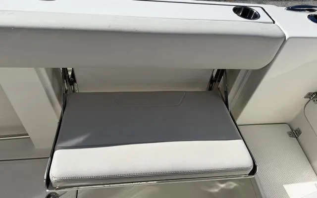 Slide: The Image of Sailfish 272CC 2025 - 21