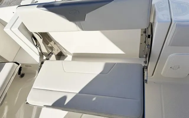 Slide: The Image of Sailfish 272CC 2025 - 22