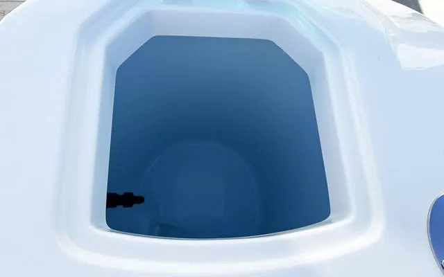 Slide: The Image of Sailfish 272CC 2025 - 30