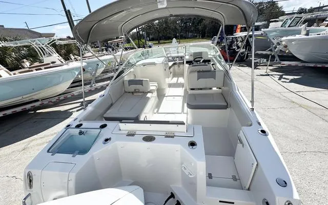 Slide: The Image of Sailfish 236 DC 2025 - 17