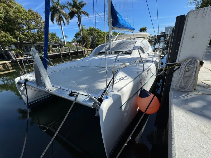 Slide: The Image of Leopard 40 2006 - 2