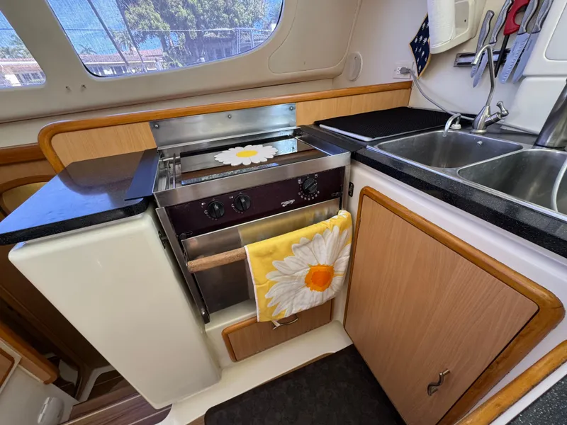 Slide: The Image of Leopard 40 2006 - 22