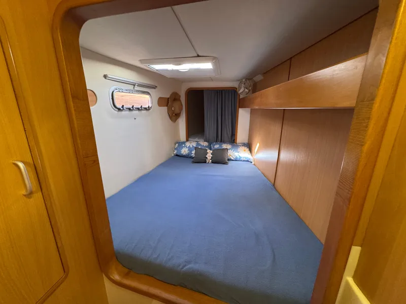 Slide: The Image of Leopard 40 2006 - 27