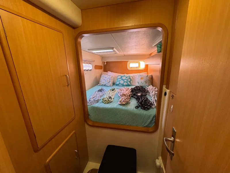 Slide: The Image of Leopard 40 2006 - 30