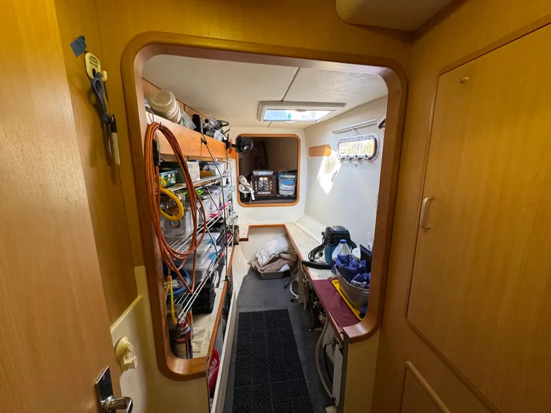 Slide: The Image of Leopard 40 2006 - 33