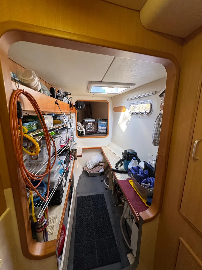 Slide: The Image of Leopard 40 2006 - 34