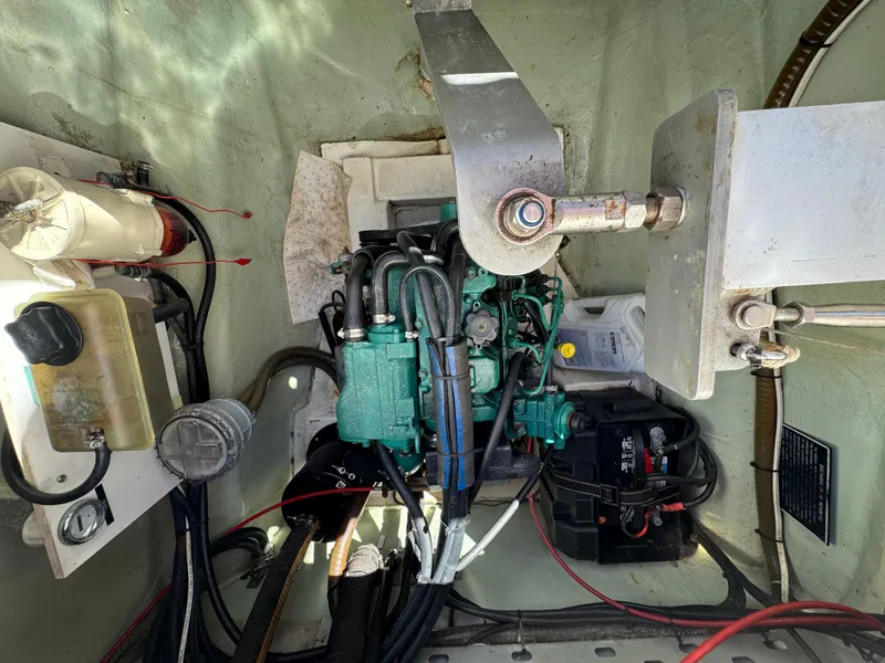 Slide: The Image of Leopard 40 2006 - 35