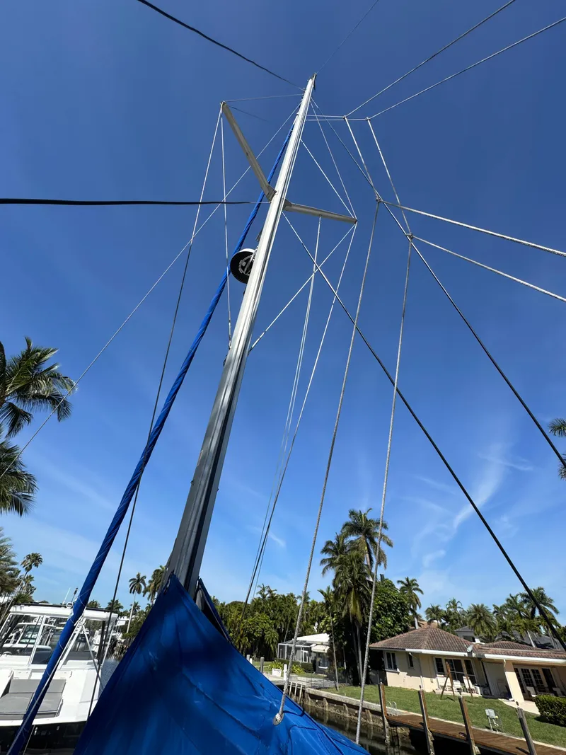 Slide: The Image of Leopard 40 2006 - 6