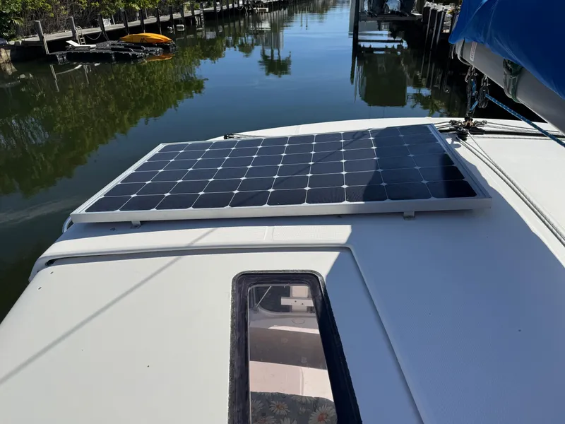 Slide: The Image of Leopard 40 2006 - 7